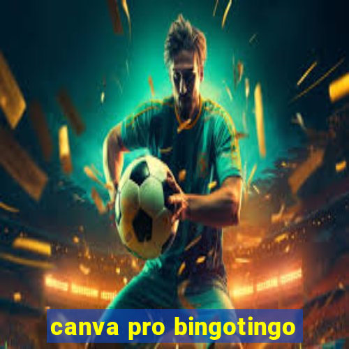 canva pro bingotingo